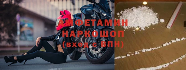 стаф Семилуки
