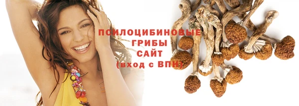 спиды Вязьма