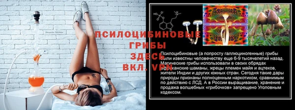 spice Сатка