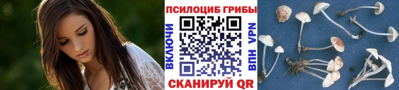 Галлюциногенные грибы GOLDEN TEACHER  Заполярный 